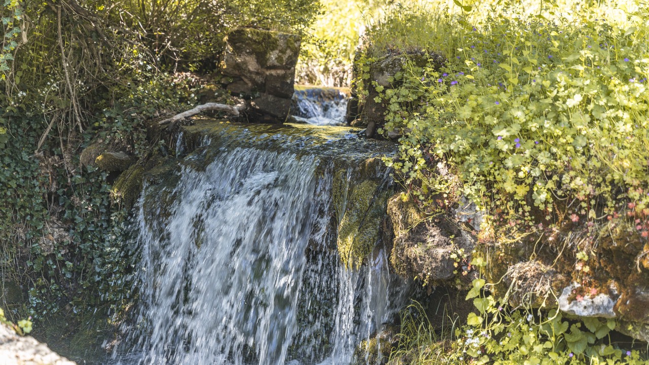 Photo of Others in Valle de Valdelaguna