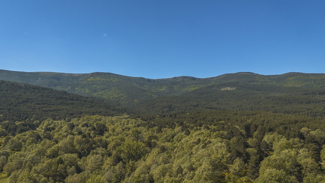 Photo of Others in Valle de Valdelaguna