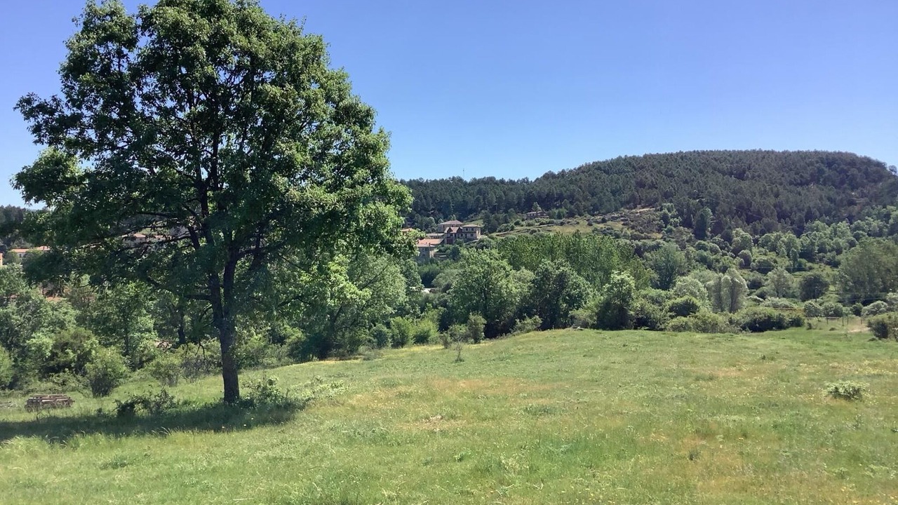 Photo of Others in Rabanera del Pinar