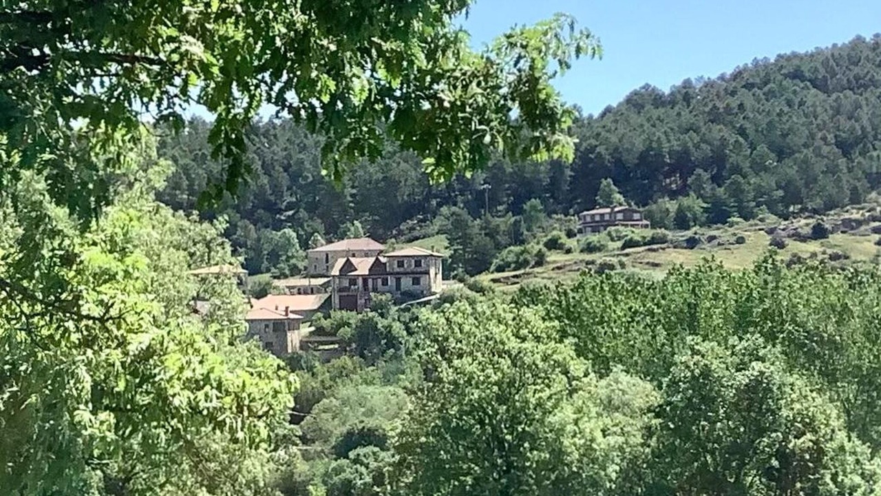 Photo of Others in Rabanera del Pinar