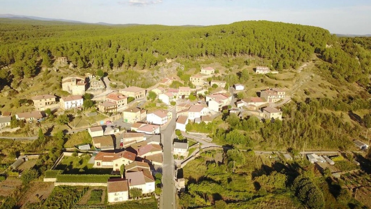 Photo of Outdoor in Rabanera del Pinar