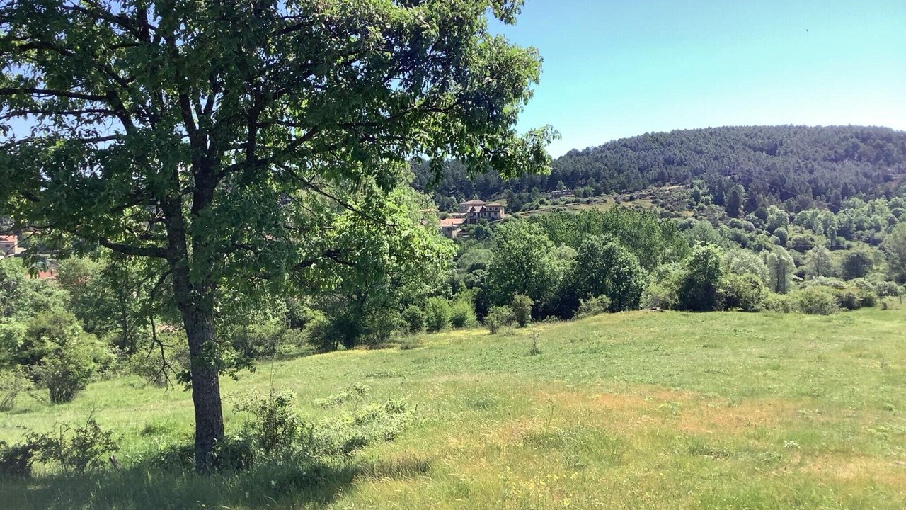 Photo of Others in Rabanera del Pinar