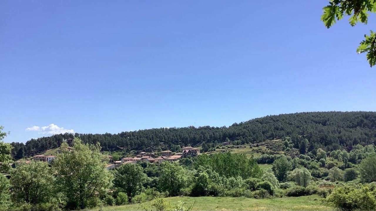 Photo of Others in Rabanera del Pinar