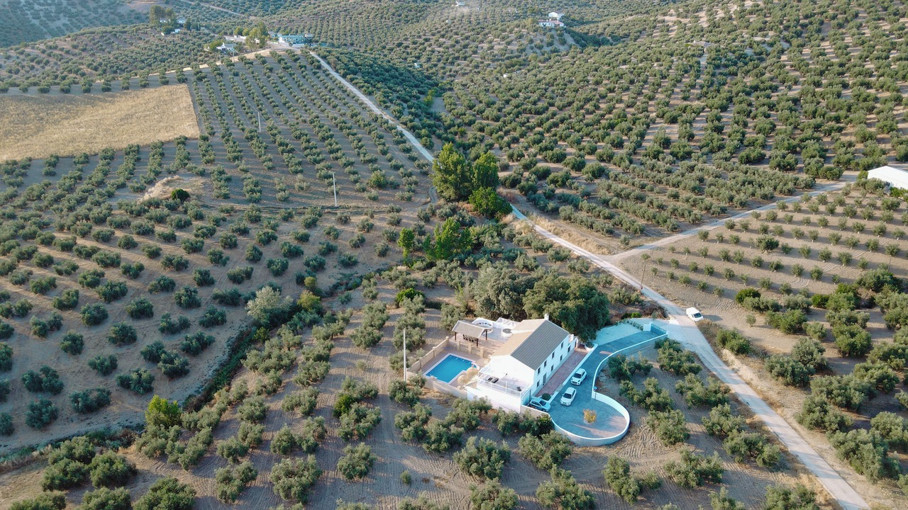 Photo of Outdoor in Priego de Cordoba
