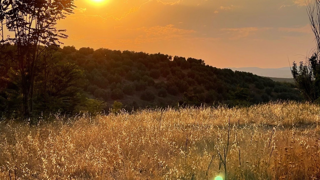 Photo of Outdoor in Villanueva del Arzobispo