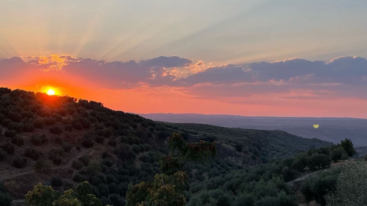 Photo of Outdoor in Villanueva del Arzobispo