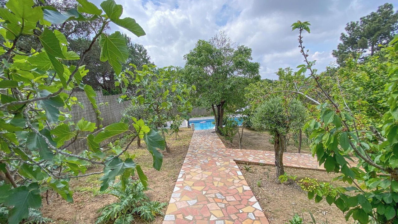 Photo of Outdoor in Lloret Blau