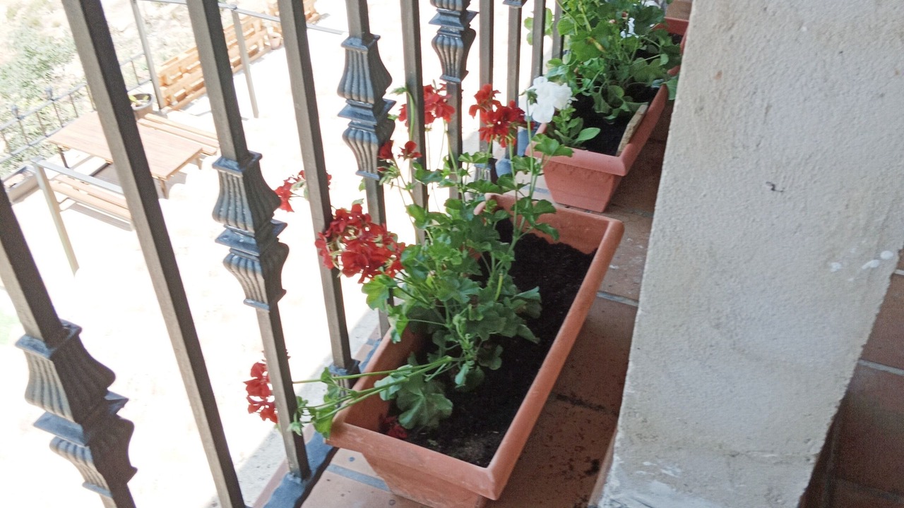 Photo of Outdoor in Loporzano