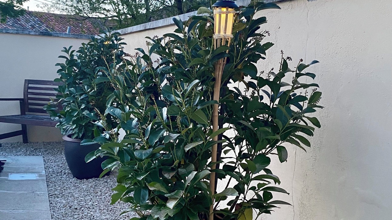 Photo of Outdoor in Fresno de Rodilla