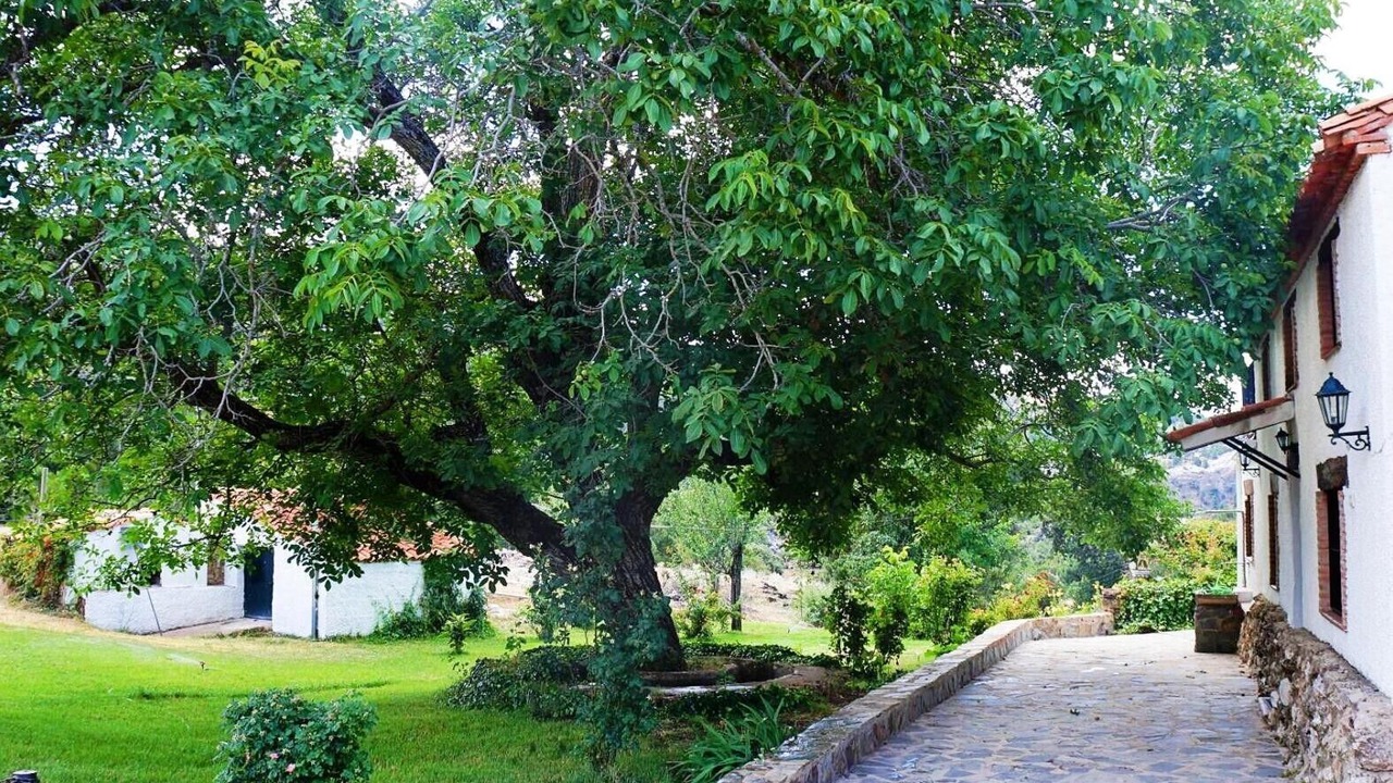 Photo of Outdoor in Villacarrillo