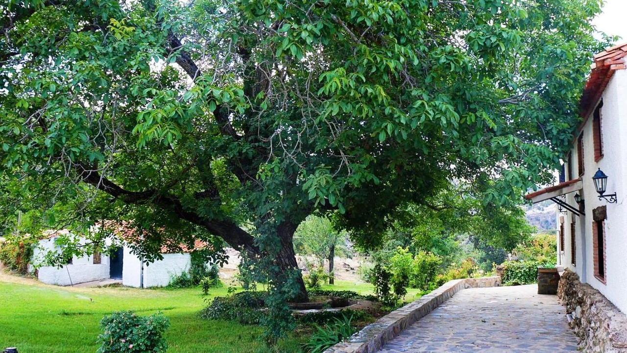 Photo of Outdoor in Villacarrillo