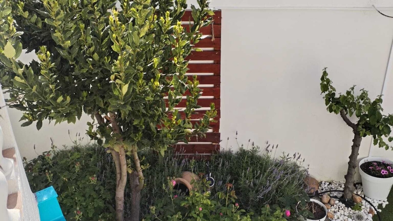 Photo of Outdoor in Alhambra