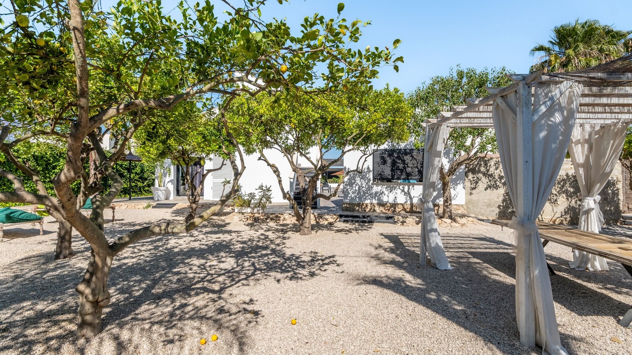 Photo of Patio Balcony in Formentera de Segura