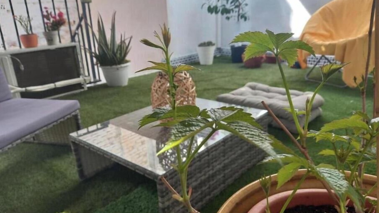 Photo of Outdoor in Baena