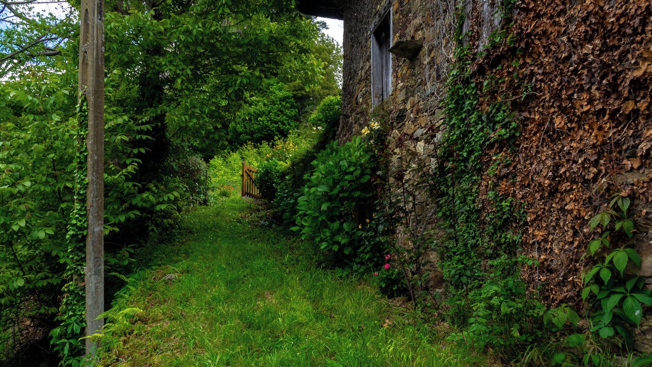 Photo of Outdoor in Las Rubias