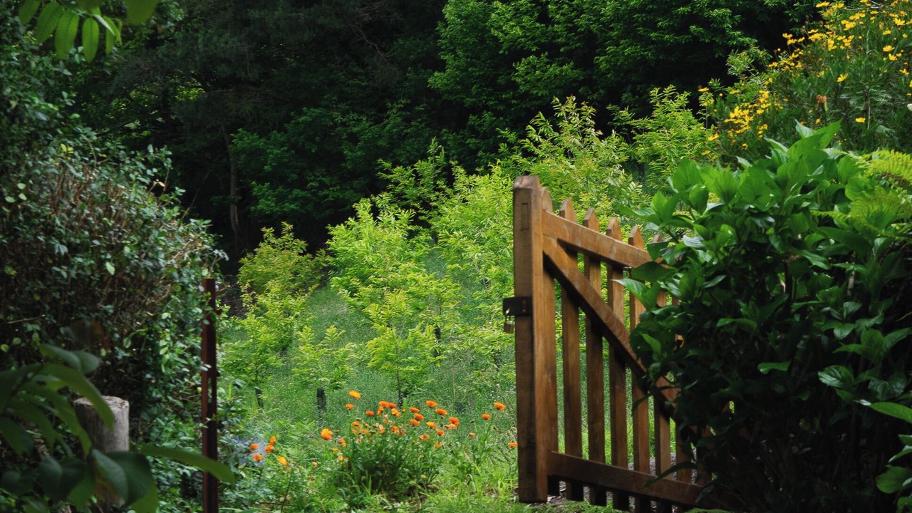 Photo of Outdoor in Las Rubias