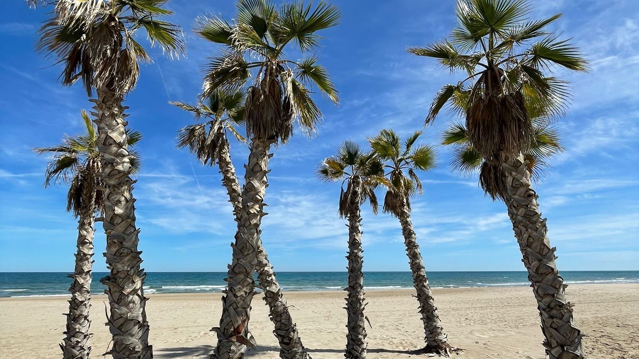 Photo of Others in Sagunto