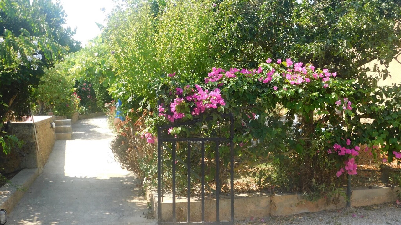 Photo of Outdoor in Sant Joan de Labritja
