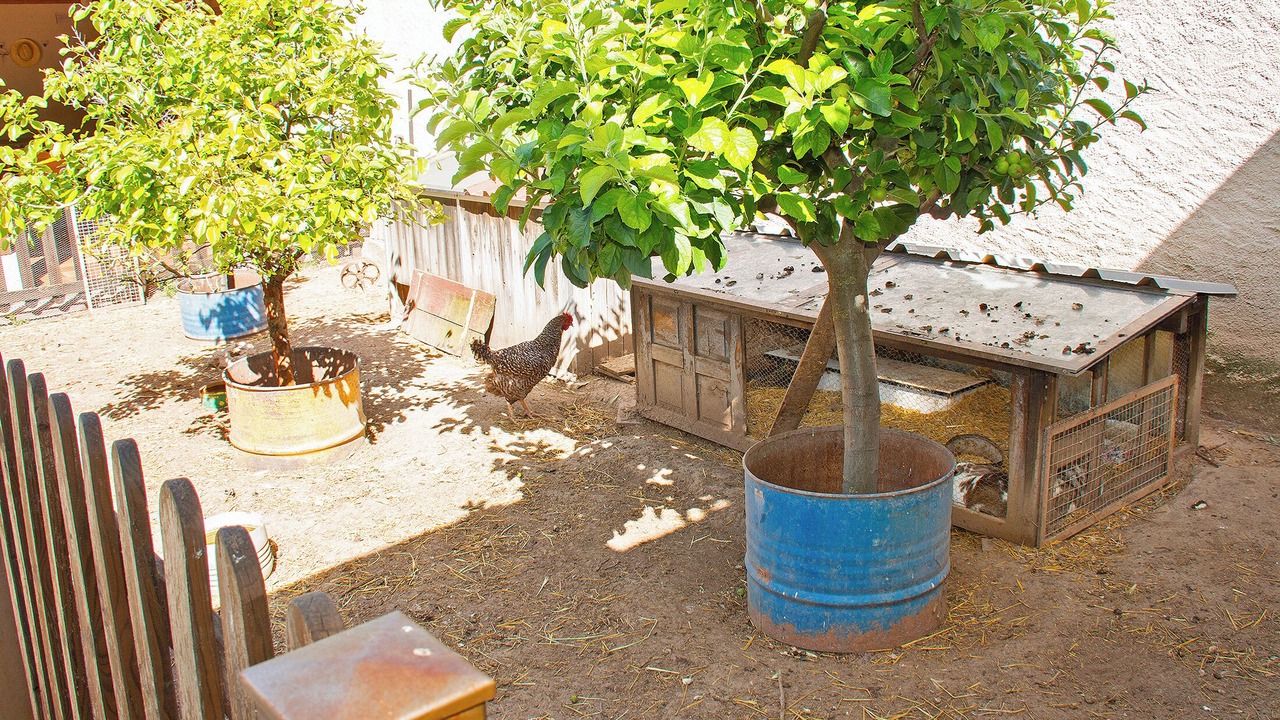 Photo of Outdoor in Turegano