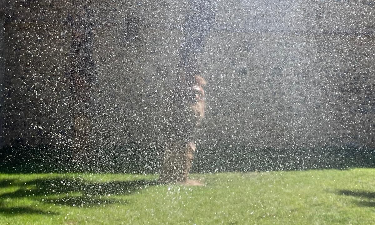 Photo of Outdoor in Villalobar de Rioja