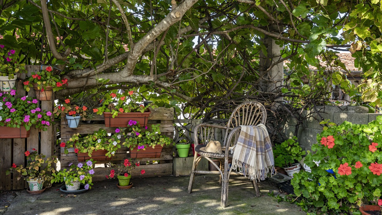 Photo of Patio Balcony in Sebreno