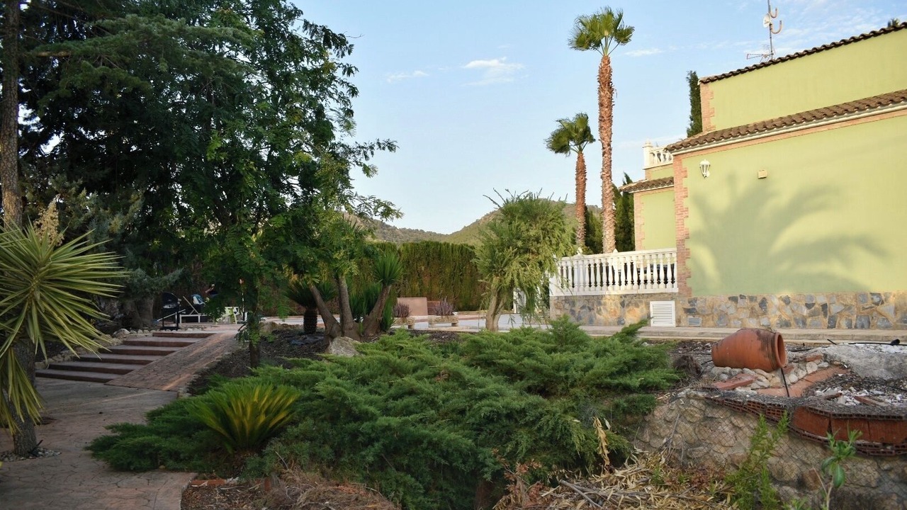 Photo of Outdoor in Pliego