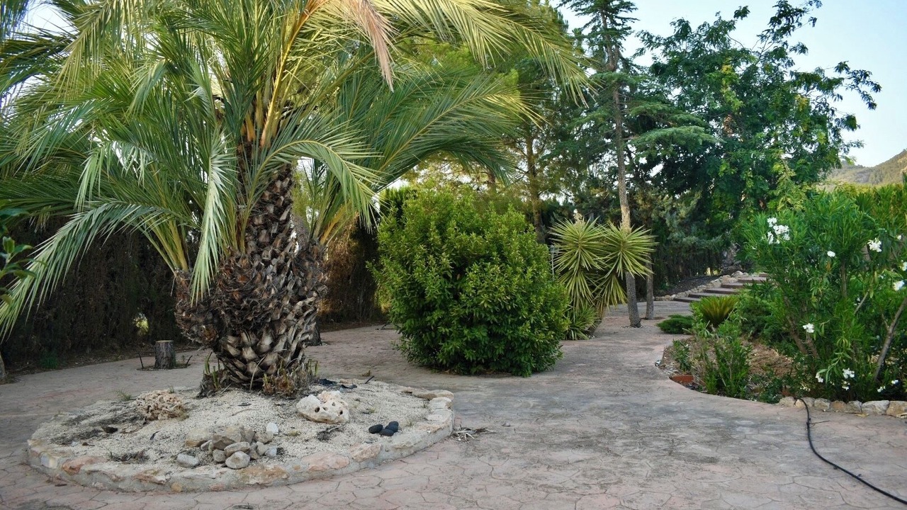 Photo of Outdoor in Pliego