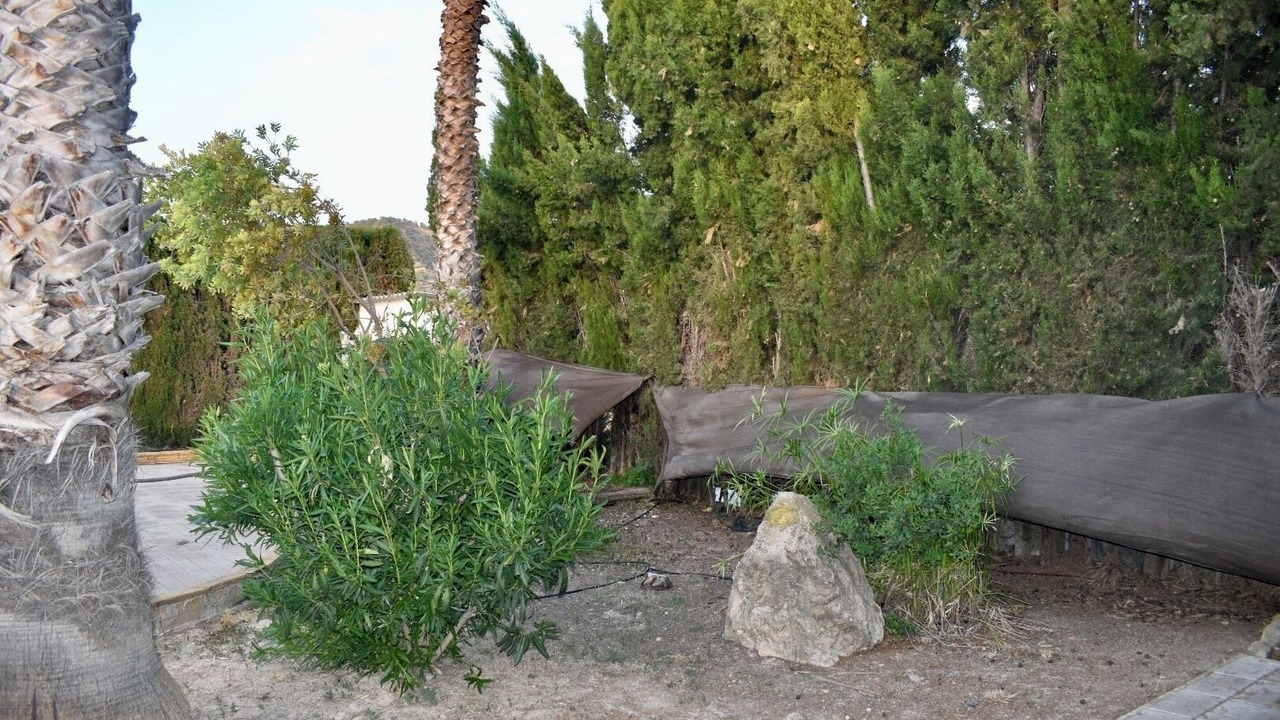 Photo of Outdoor in Pliego
