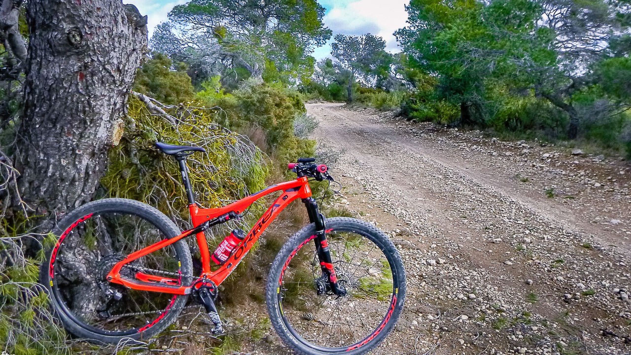 Photo of Outdoor in Zaragoza