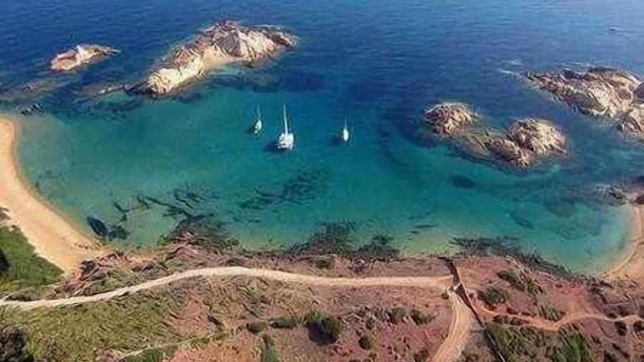 Photo of Others in Los Delfines