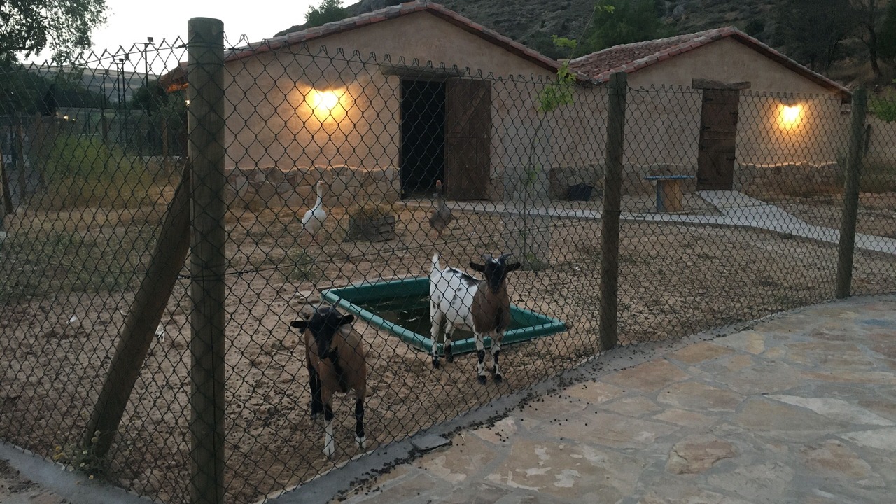 Photo of Outdoor in Fuentiduena