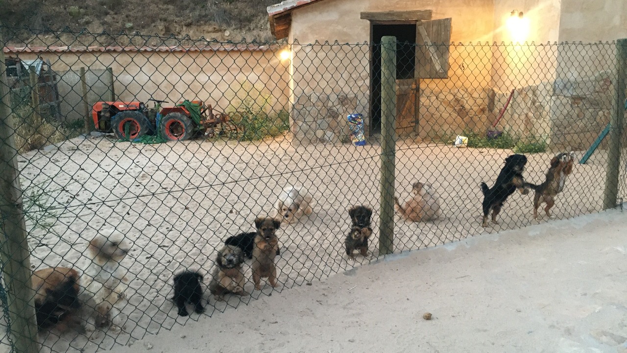 Photo of Outdoor in Fuentiduena