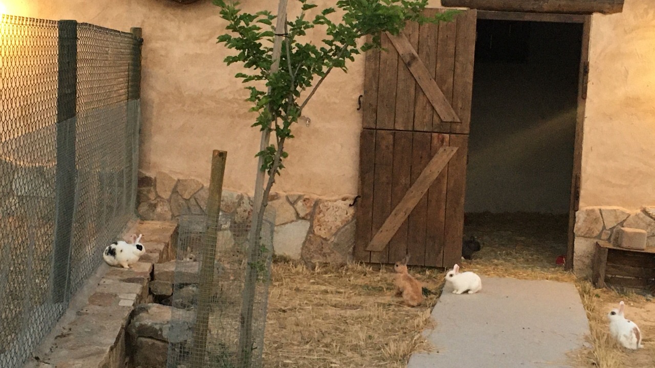 Photo of Outdoor in Fuentiduena