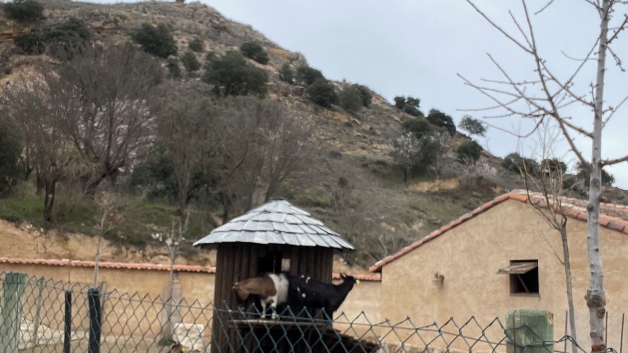 Photo of Others in Fuentiduena