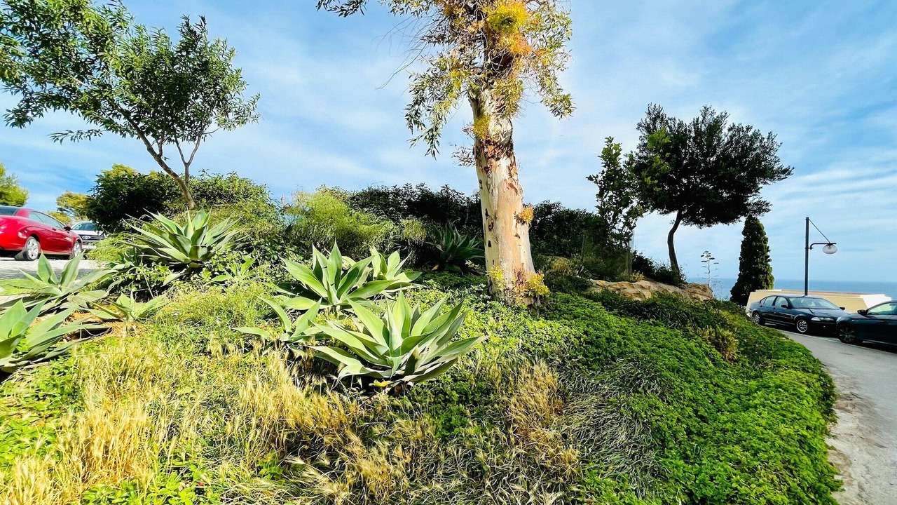 Photo of Outdoor in Almeria