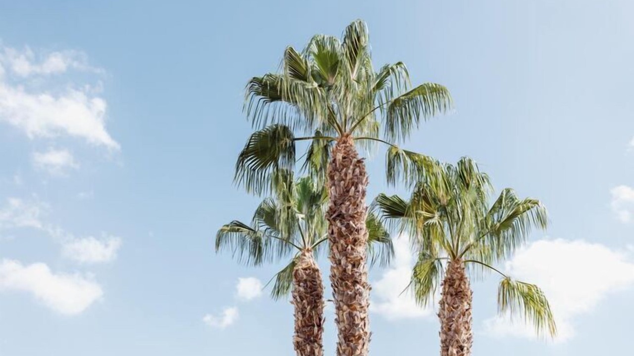 Photo of Outdoor in Puerto de Mazarron