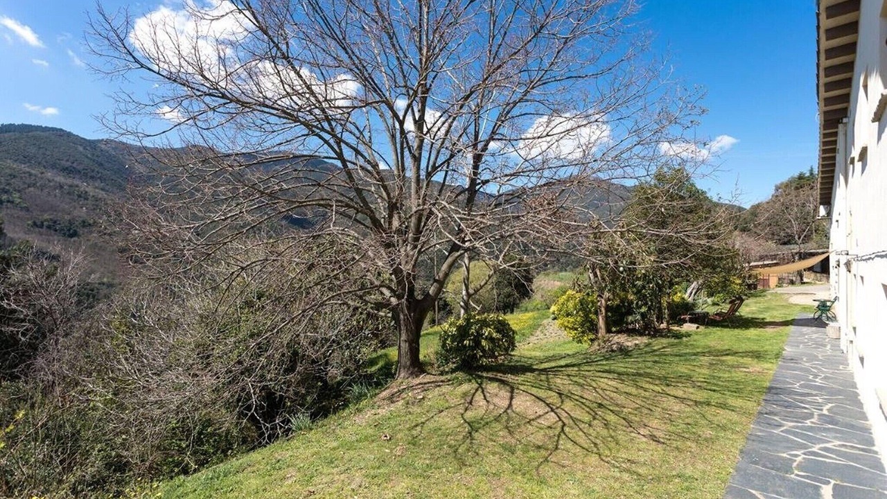 Photo of Outdoor in Montseny
