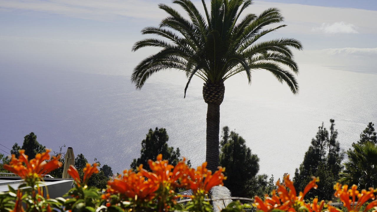 Photo of Outdoor in Tijarafe