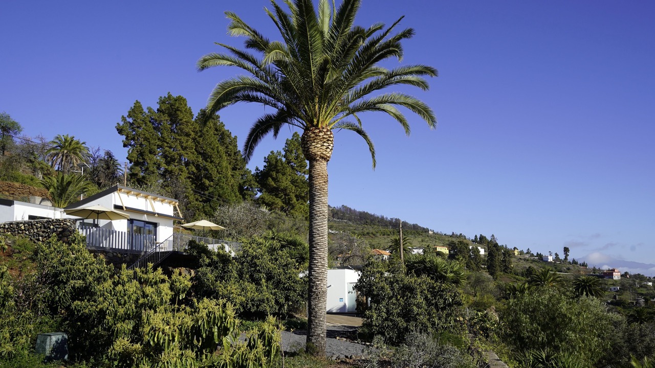 Photo of Outdoor in Tijarafe