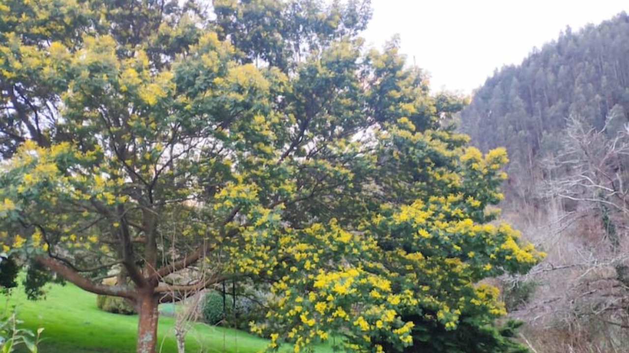 Photo of Outdoor in Lloreda