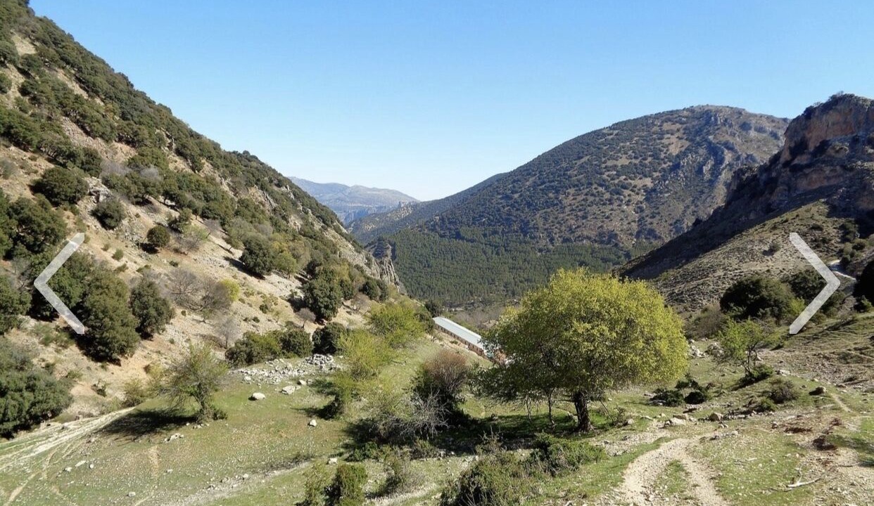 Photo of Others in Noalejo