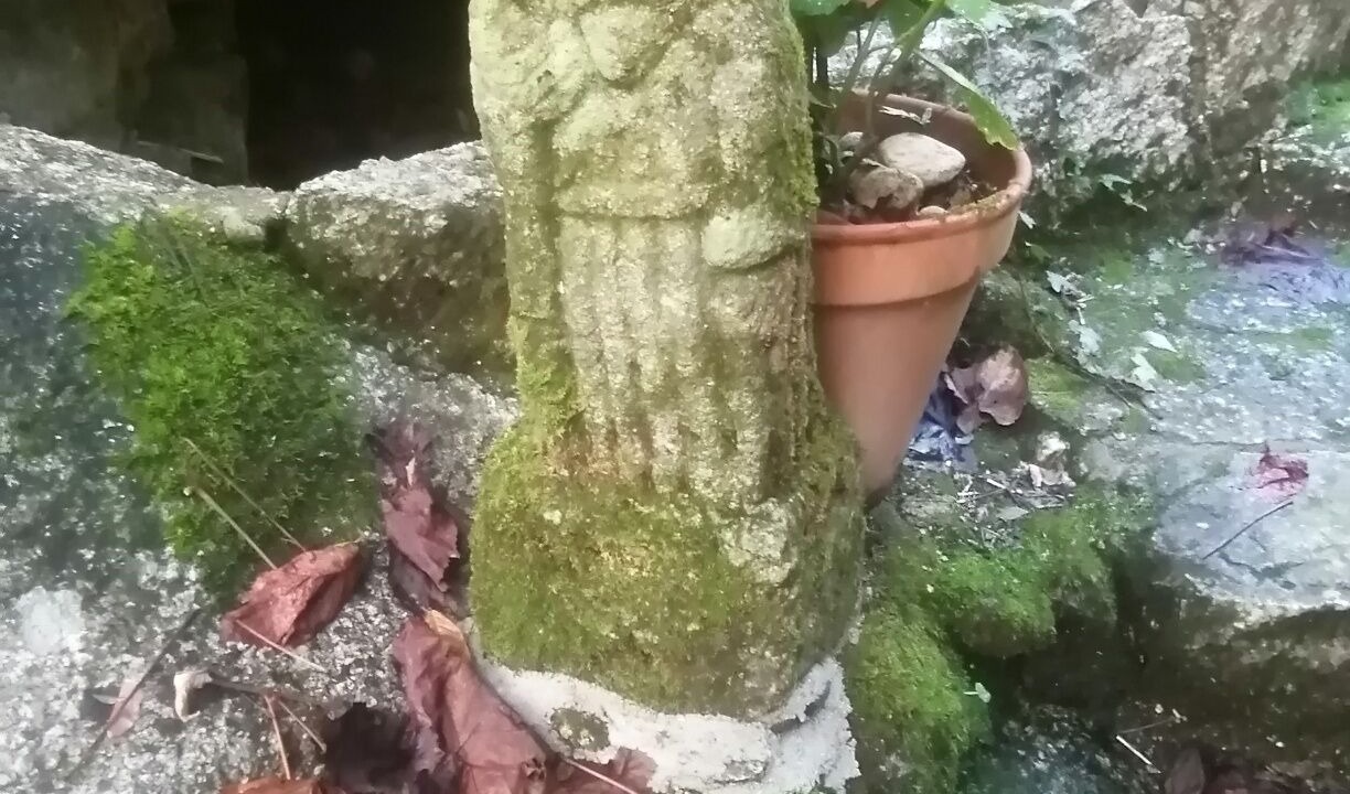 Photo of Outdoor in Caldas de Reis