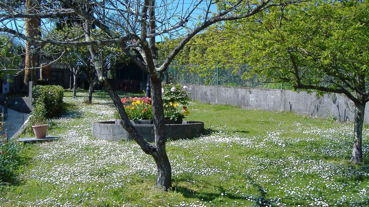 Photo of Outdoor in Callobre