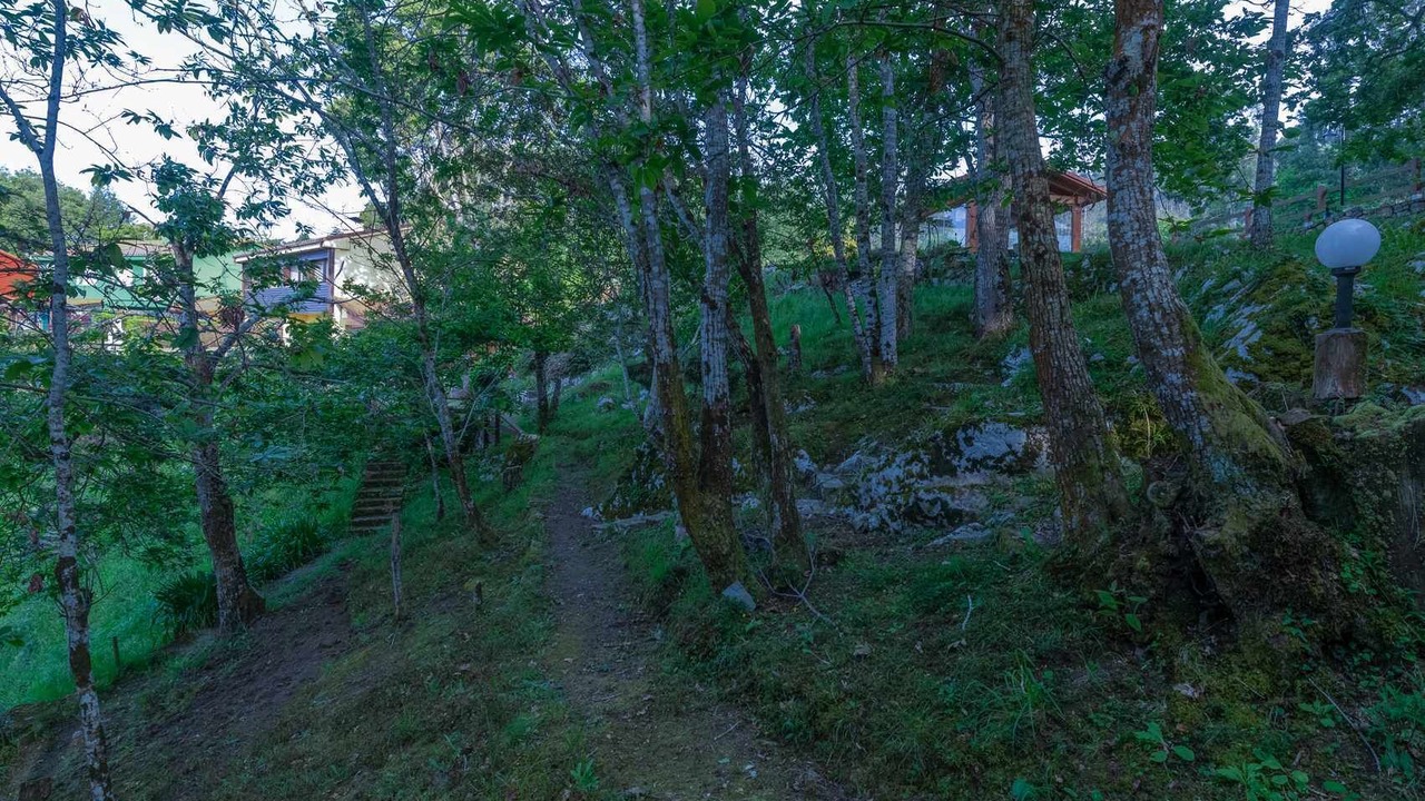 Photo of Outdoor in Puente Nuevo