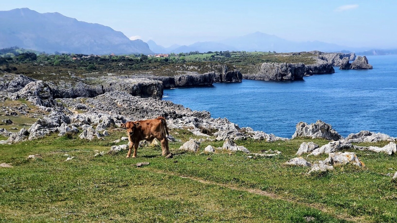 Photo of Outdoor in Nueva