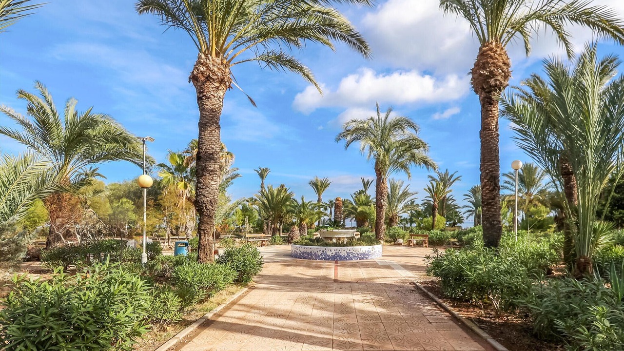 Photo of Others in El Algar