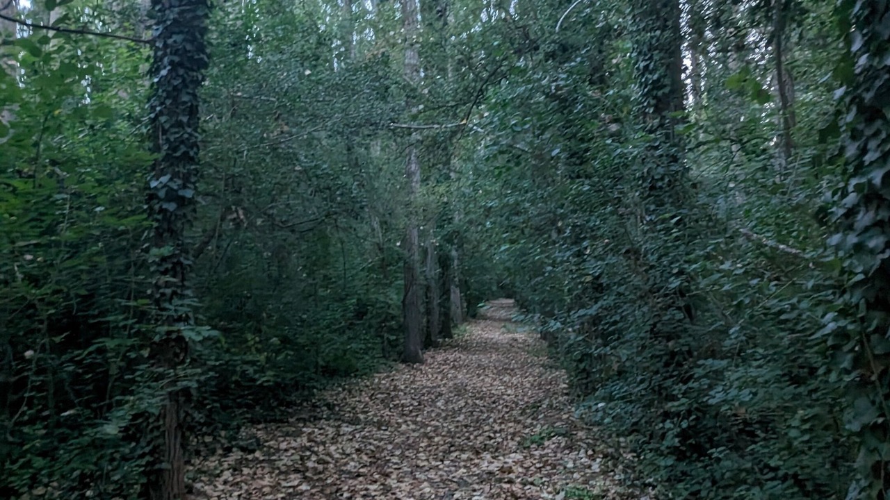 Photo of Outdoor in Os de Balaguer