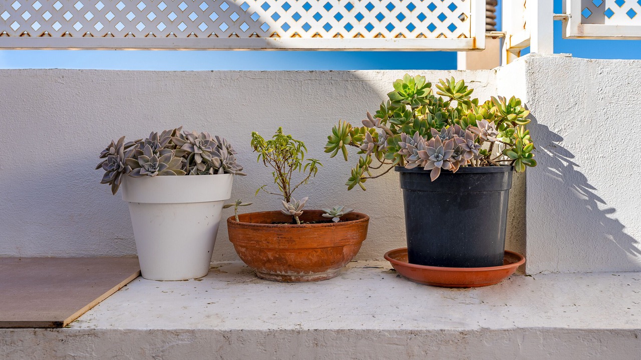 Photo of Outdoor in Beiro