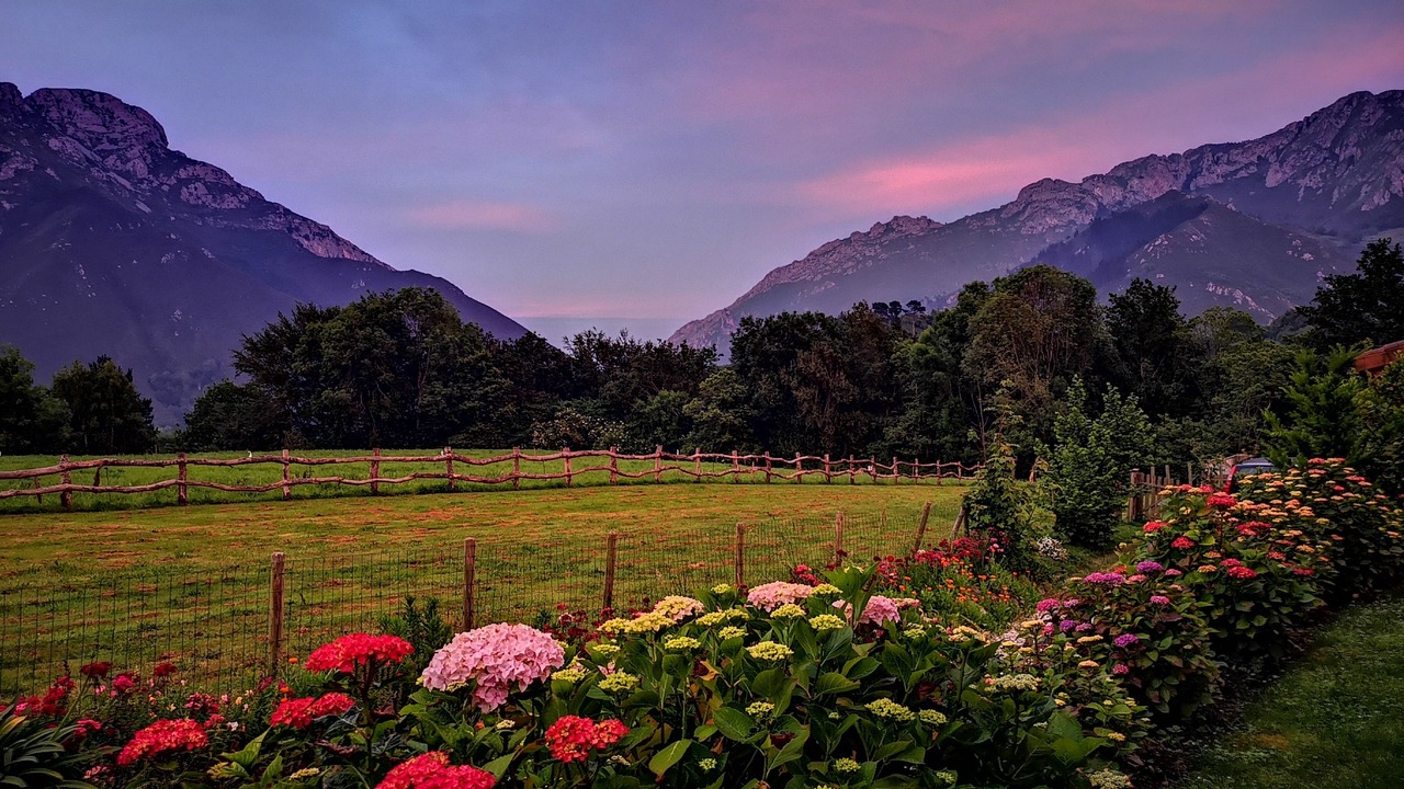 Photo of Outdoor in Peruyes