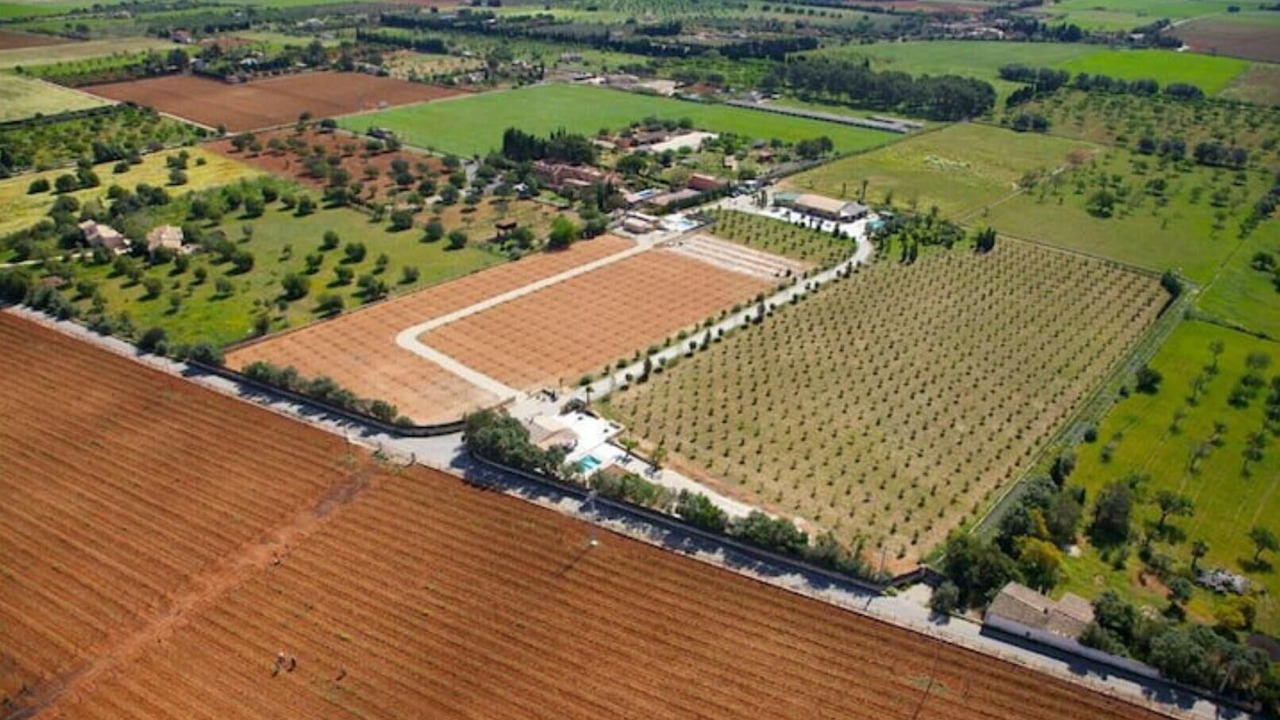 Photo of Outdoor in Binissalem